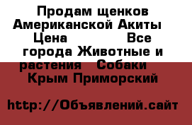 Продам щенков Американской Акиты › Цена ­ 25 000 - Все города Животные и растения » Собаки   . Крым,Приморский